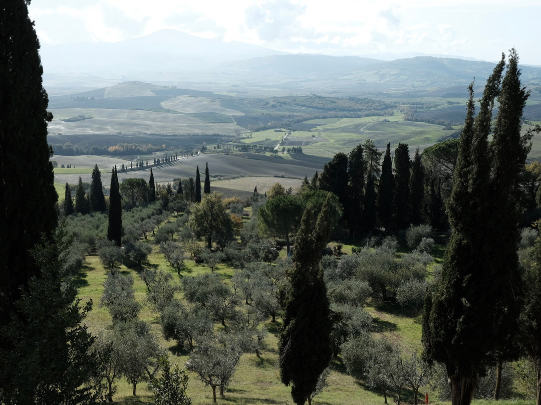 Transfer & Tours Cortona-科尔托纳必去景点
