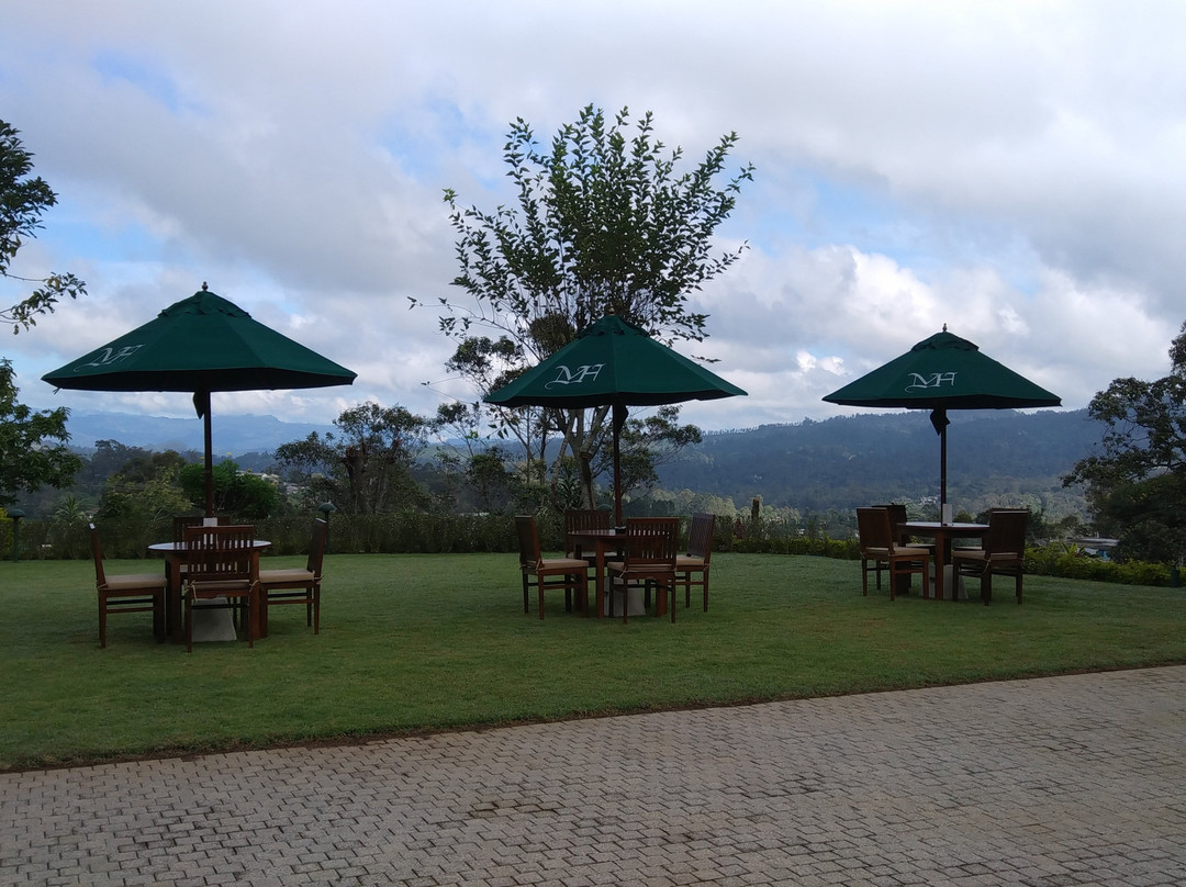 Manor House Boutique Villa主图