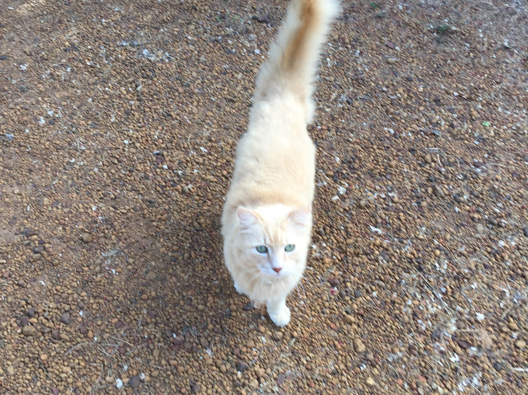 Riverwood Retreat主图