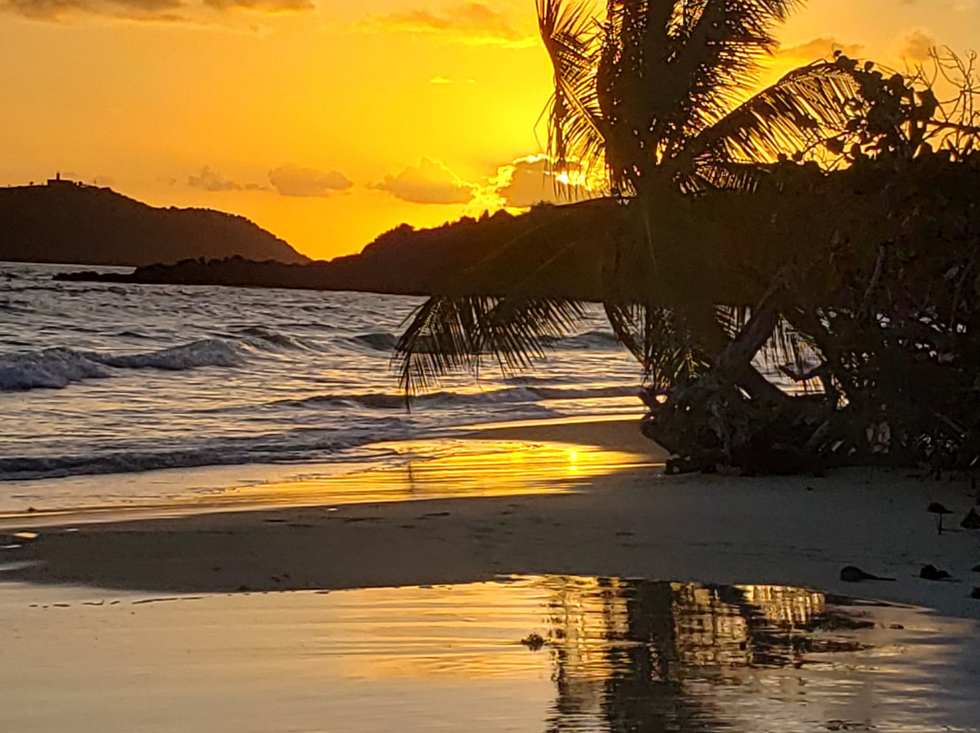 Playa Zoni-库莱布拉岛必去景点