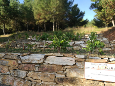 CIVI Camponaraya-Camponaraya必去景点