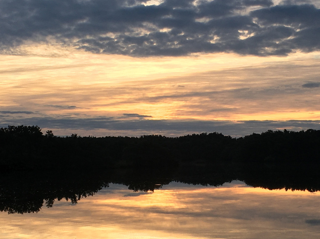 Firefly Cottages Cedar Key主图