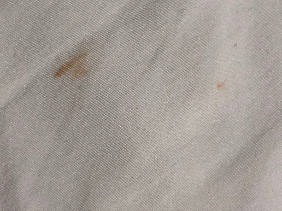 西雅图大学旅居酒店主图