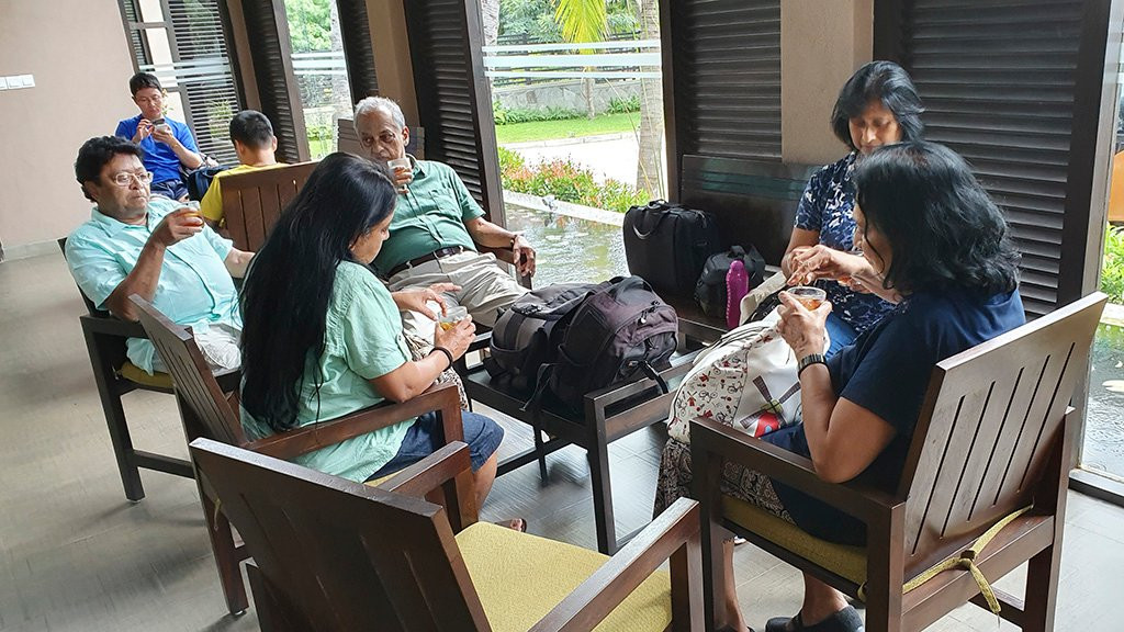 Oak Ray Wild Yala主图