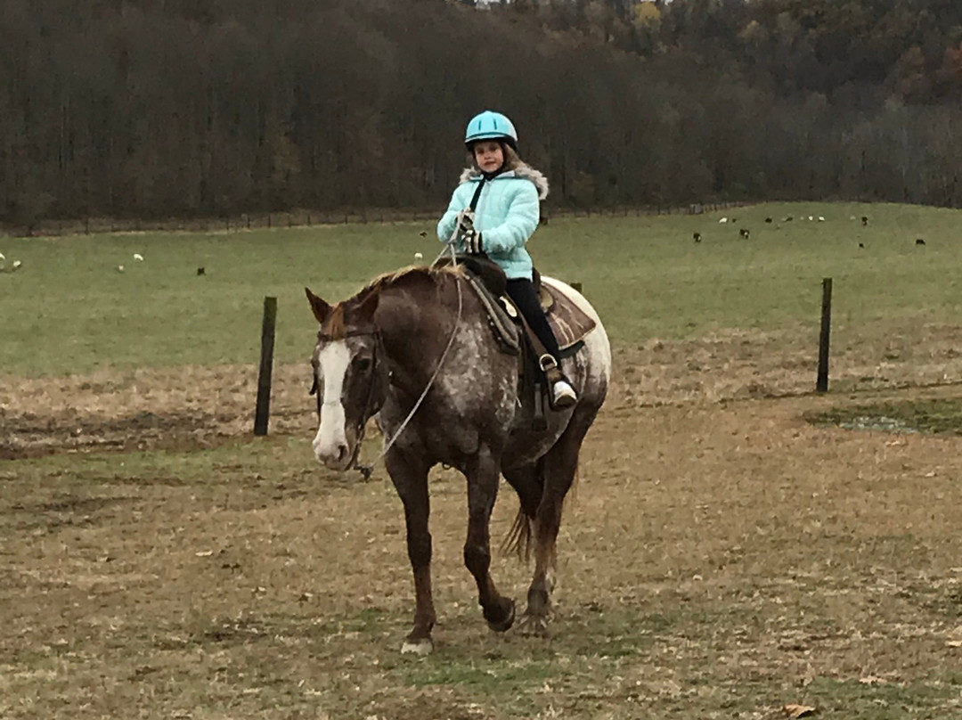 The Spotted Horse Ranch-Laurelville必去景点