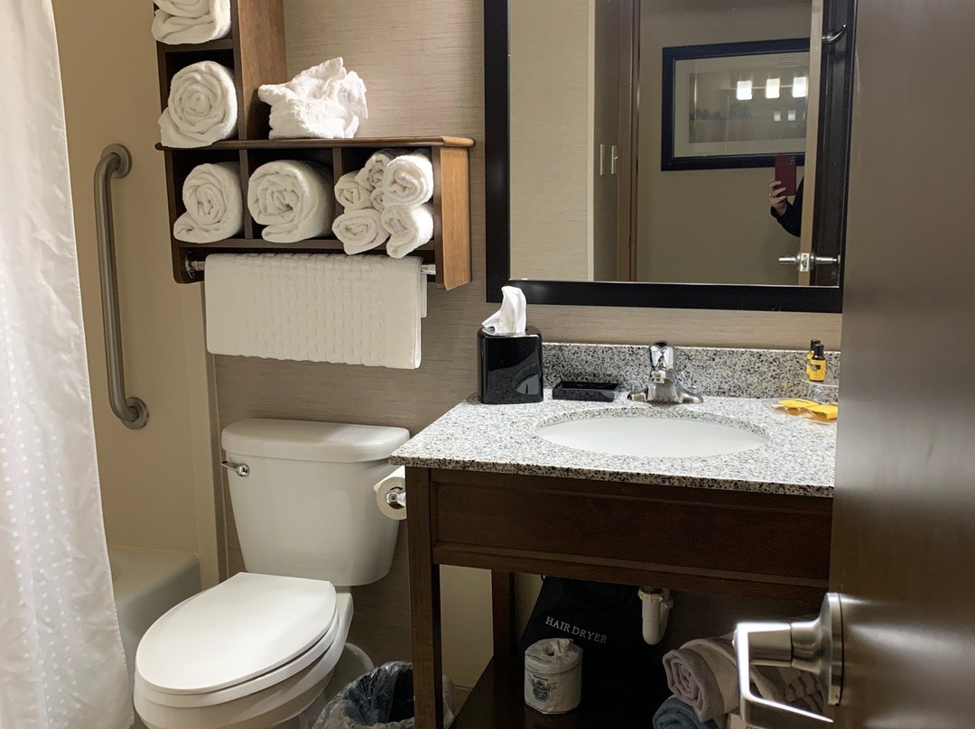 Best Western Plus Willmar主图