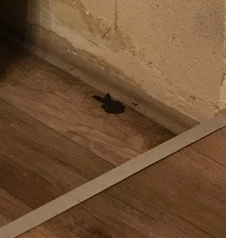 Le Chateau Lambousa Hotel主图