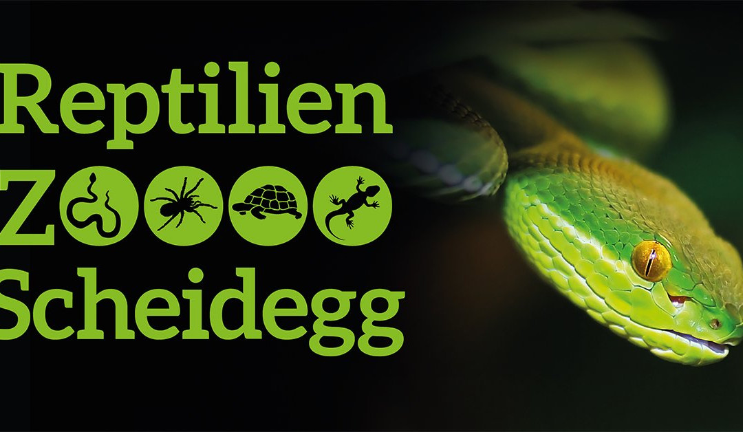 Reptilienzoo Scheidegg-Scheidegg必去景点