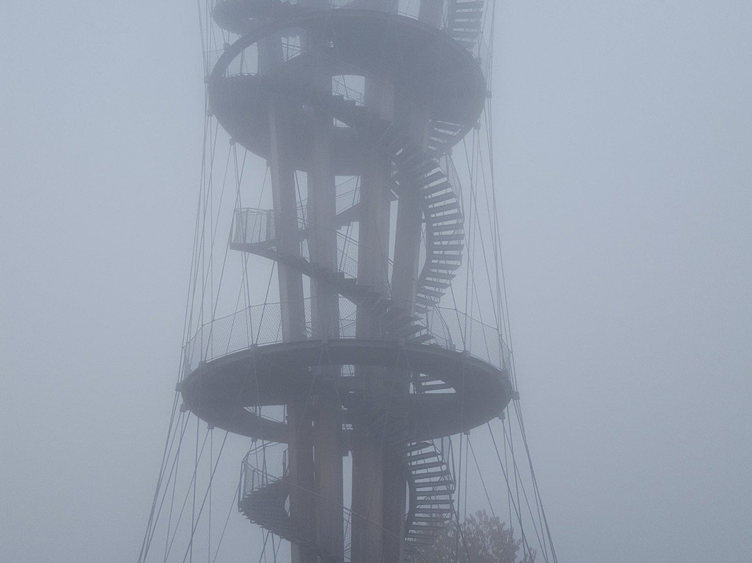 Schonbuchturm景点图片