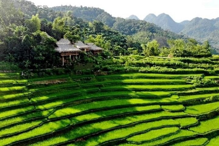 Pu Luong Boutique Garden-官方