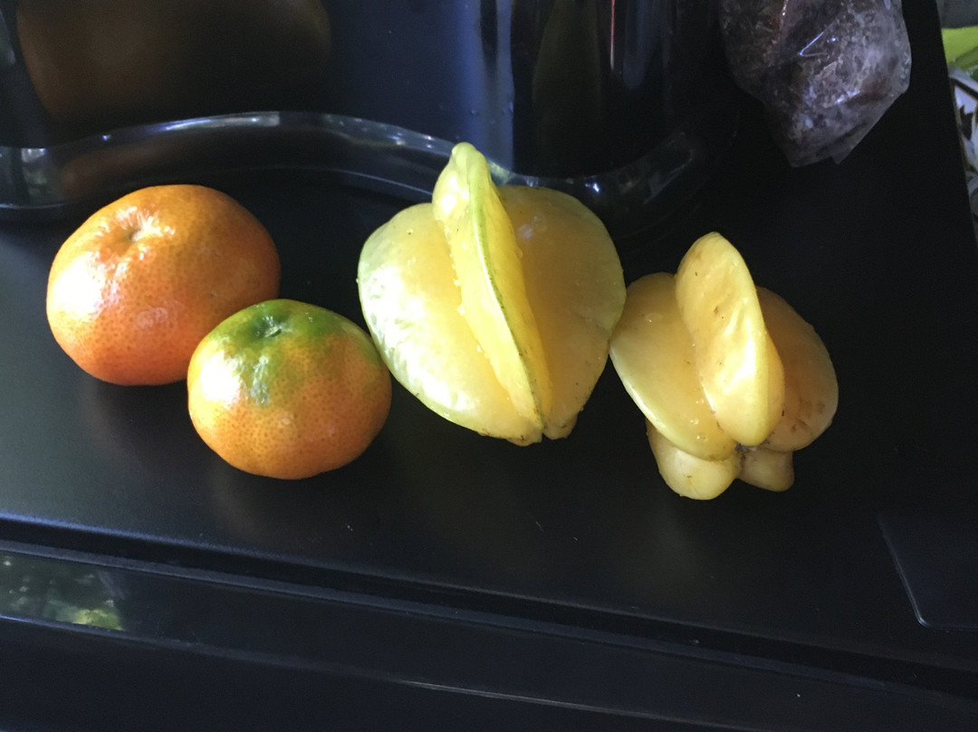 Hamakua Guesthouse主图