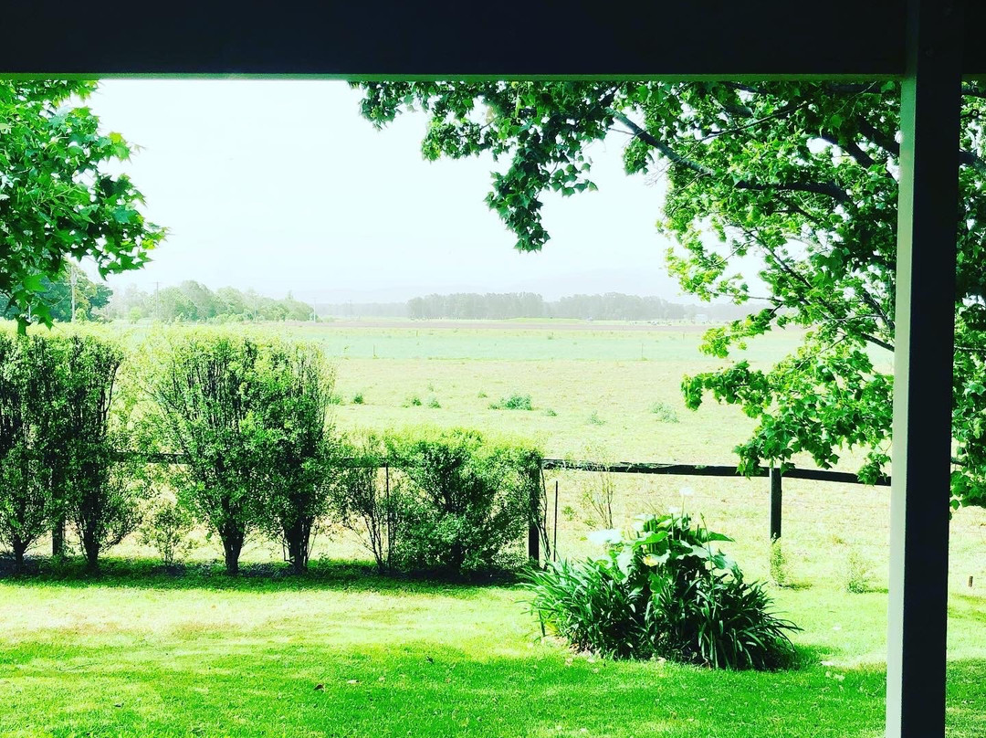 The Willows B n B主图