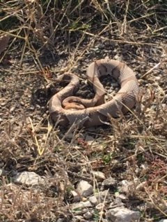 Highview Marina-恩尼斯必去景点