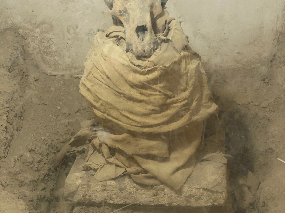 Tuna el-Gebel-Mallawi必去景点