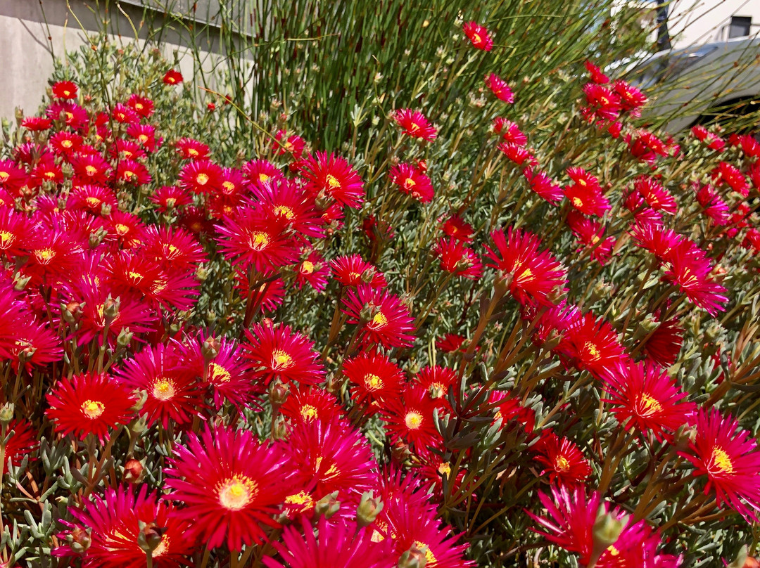 Q Square-伍斯特必去景点