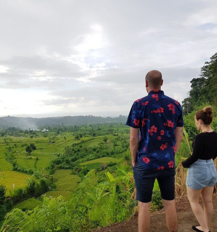 Bali Drive Service-乌布必去景点