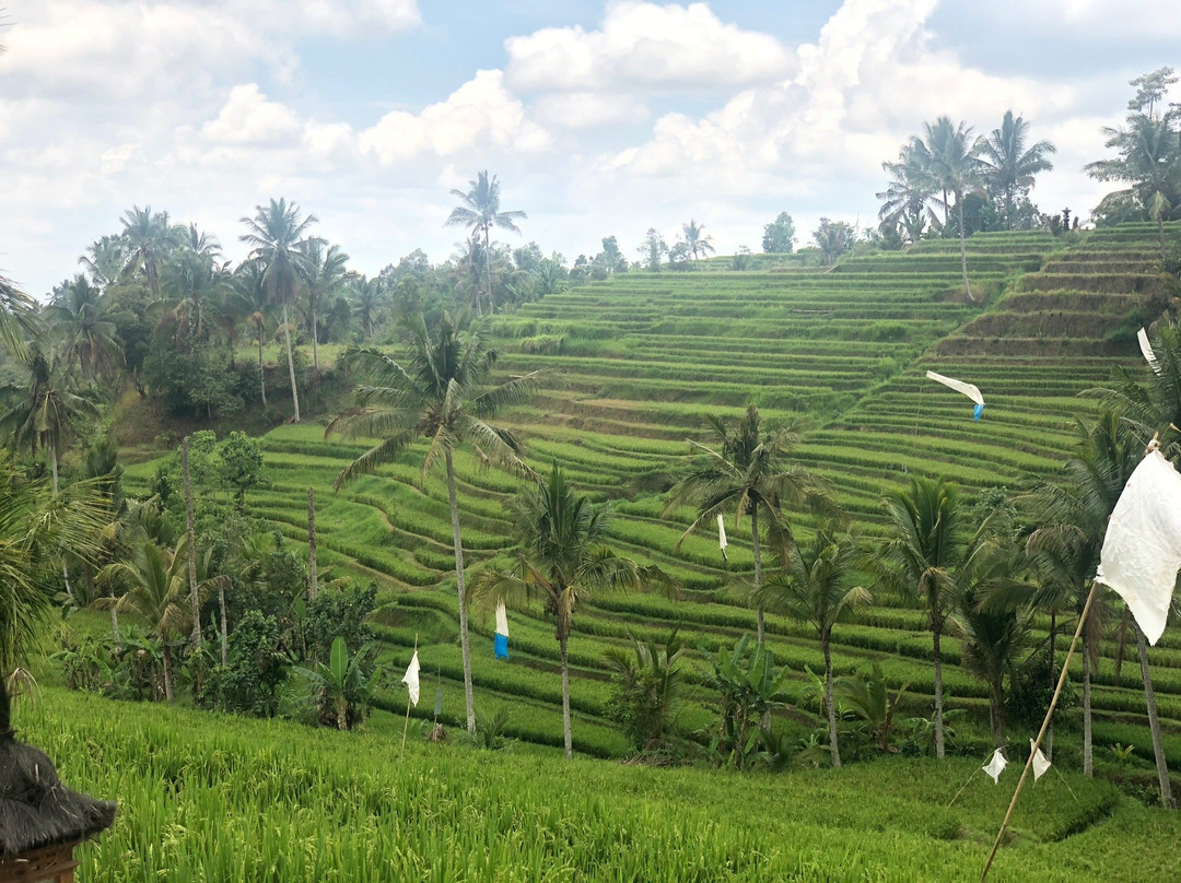 Riktiga Bali-苏卡瓦堤必去景点