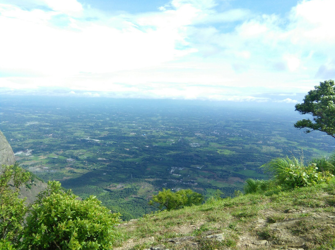Meenampara View Point-Nelliyampathy必去景点