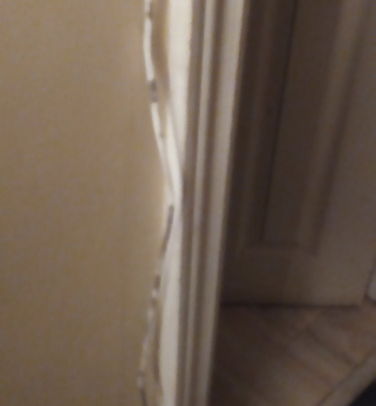 Blue Jay Motel主图