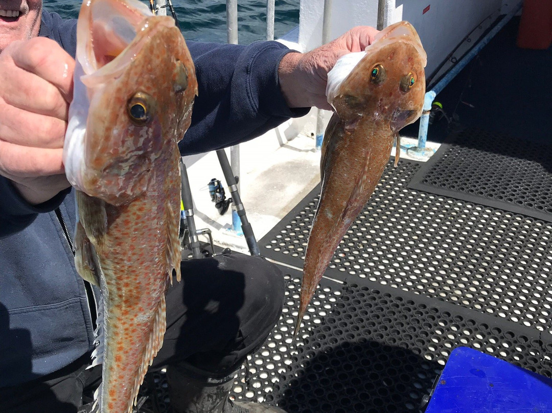 Sea-All Fishing and Marine Tours景点图片