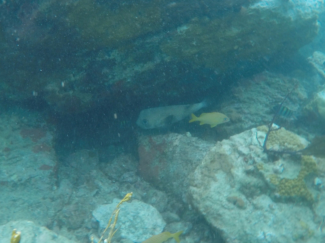 Waterlemon Cay-维尔京群岛国家公园必去景点