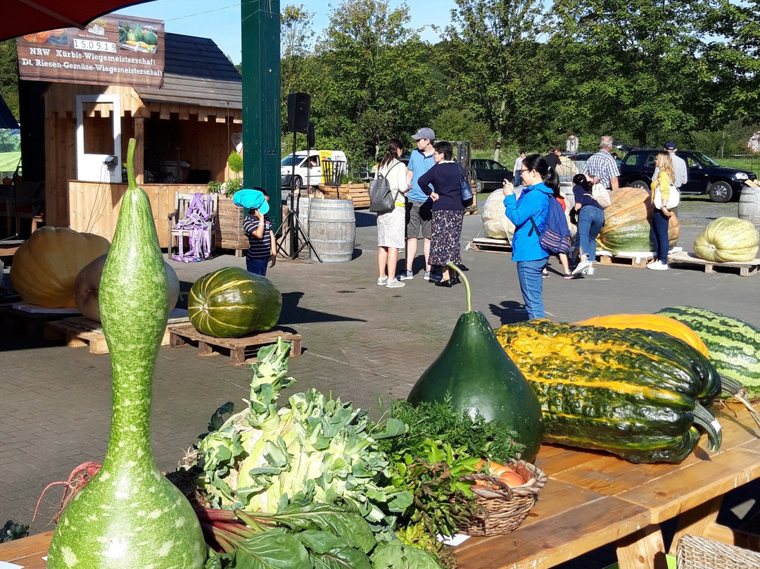 Krewelshof-Lohmar必去景点