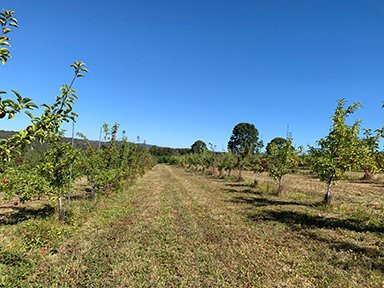 Wilkens Farm景点图片