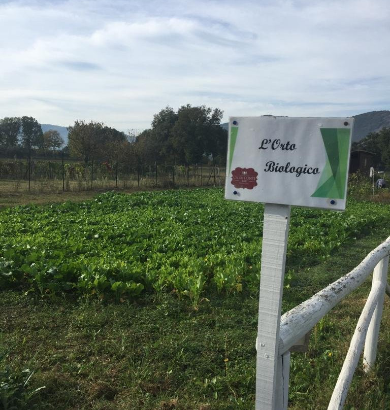 Ca' del Conte主图