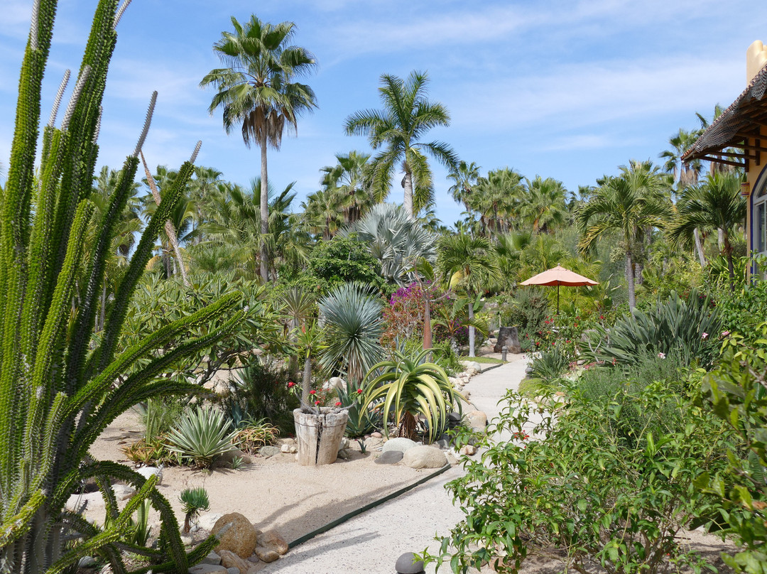 La Poza Boutique Hotel & Spa主图