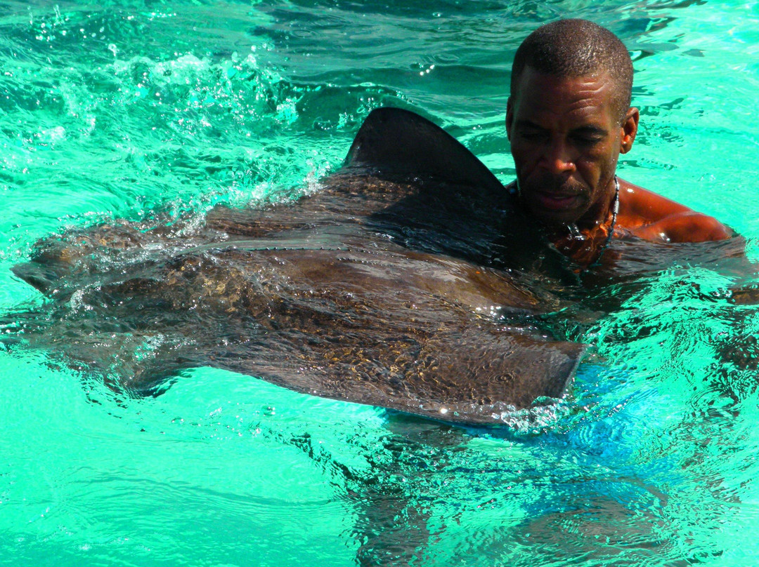 CAPTAIN VERNON CHARTERS LTD-西湾必去景点