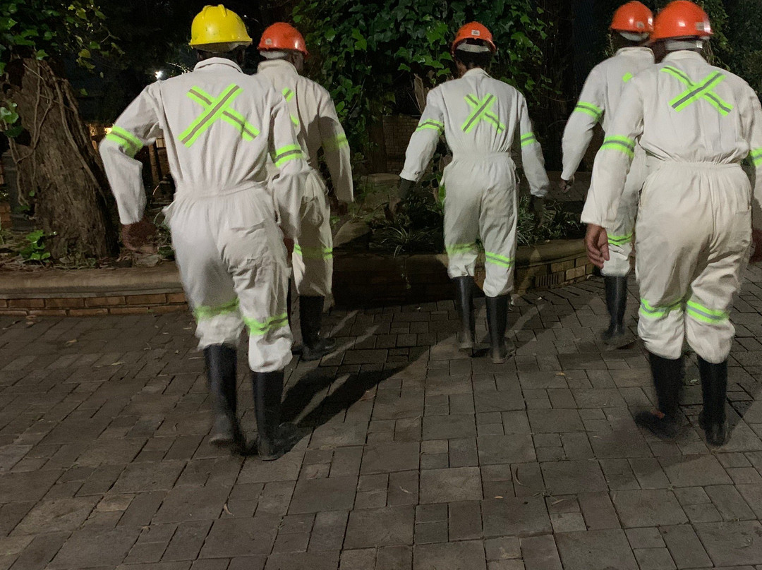 Go Touch Down Travel and Tours-萨拉索塔必去景点