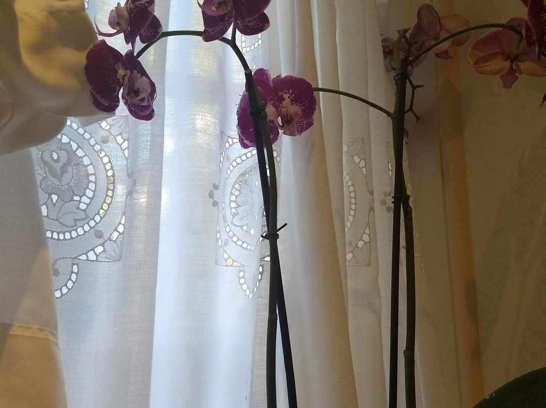 Williamsburg Inn, An Official Colonial Williamsburg Hotel主图