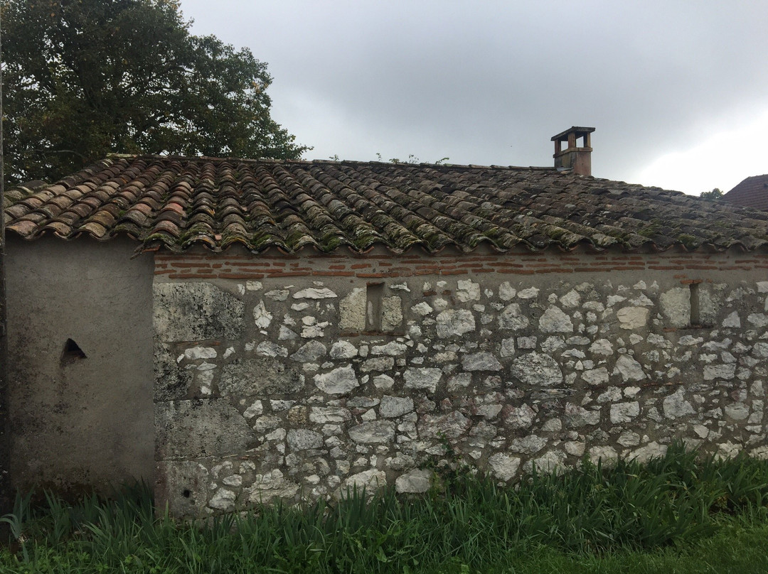 Chateau Haute Brande景点图片