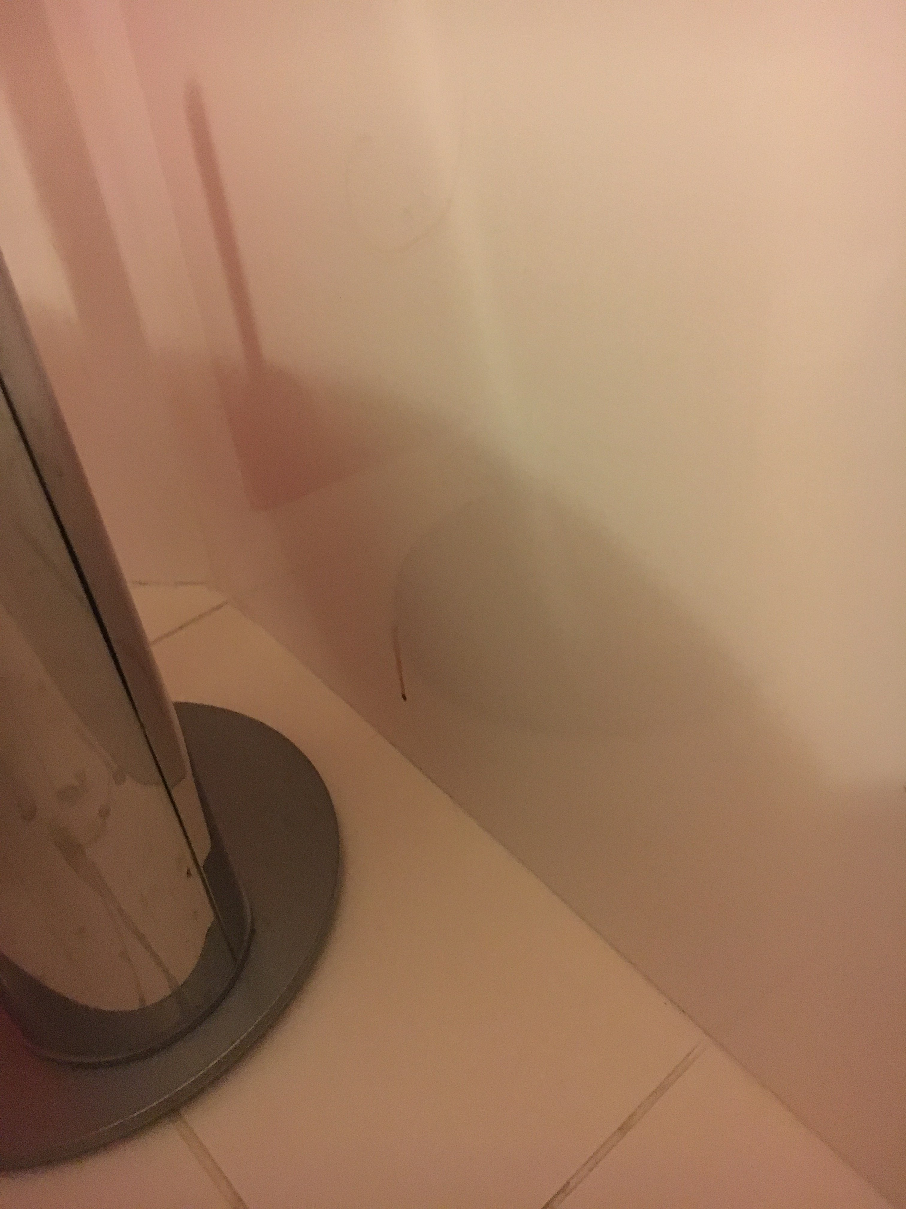 阿卡迪米亚酒店-浴室