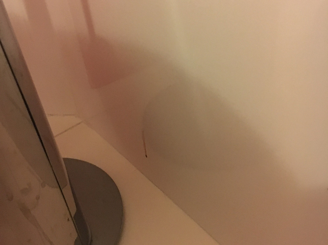 阿卡迪米亚酒店主图