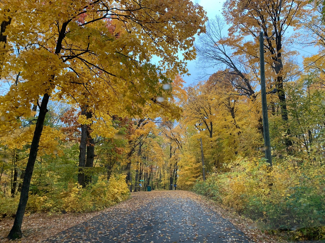 Green Heron Bed and Breakfast主图