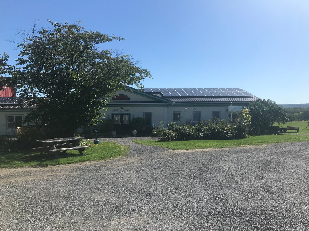 Hunt Country Vineyards-Branchport必去景点