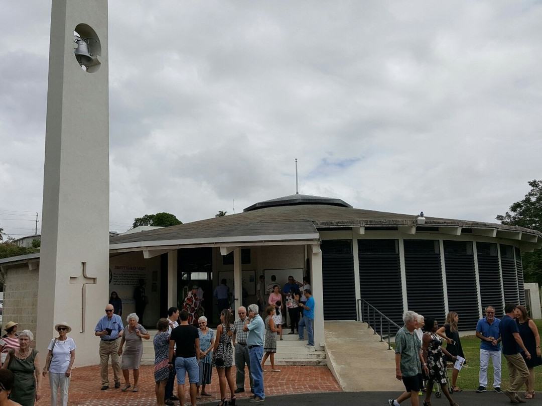 基督城旅游景点-St Dominic's Roman Catholic Church