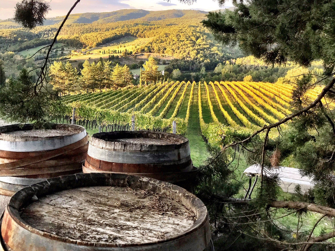 Tuscan Wine Somm景点图片