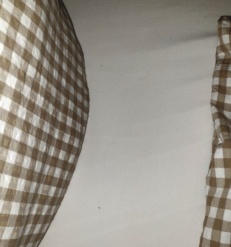 兰德宫伊登酒店主图