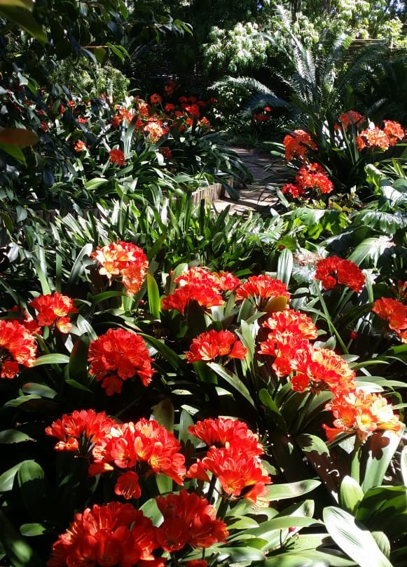 布劳汉姆宾馆主图