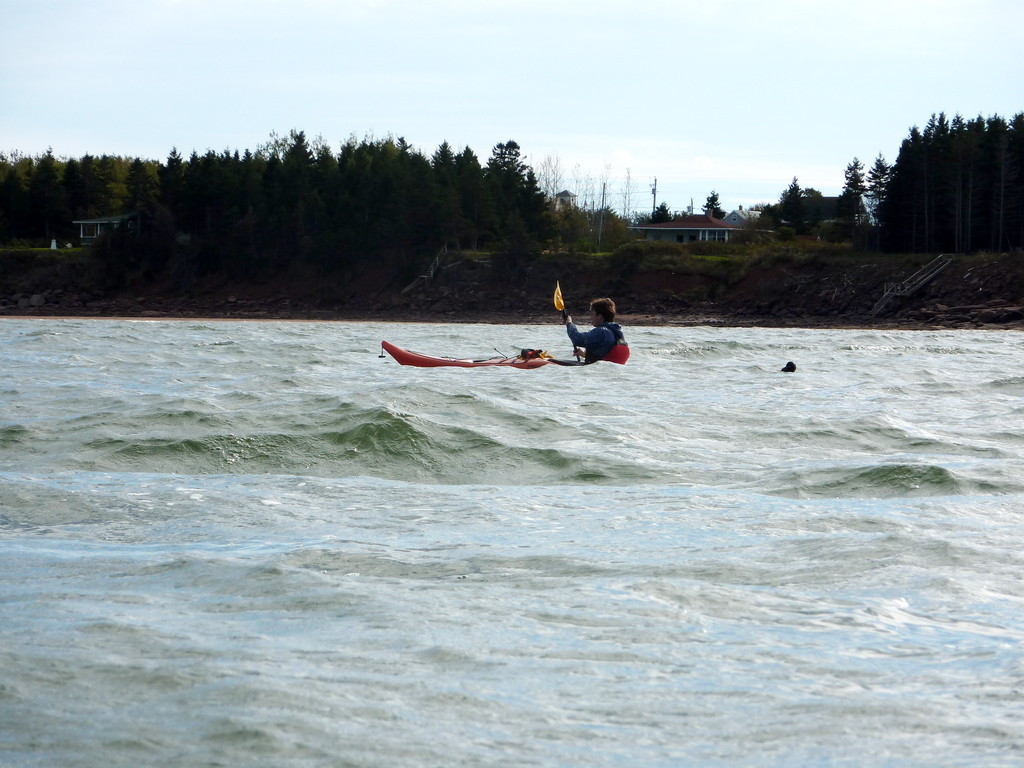 Acadian Coast Kayak Adventures