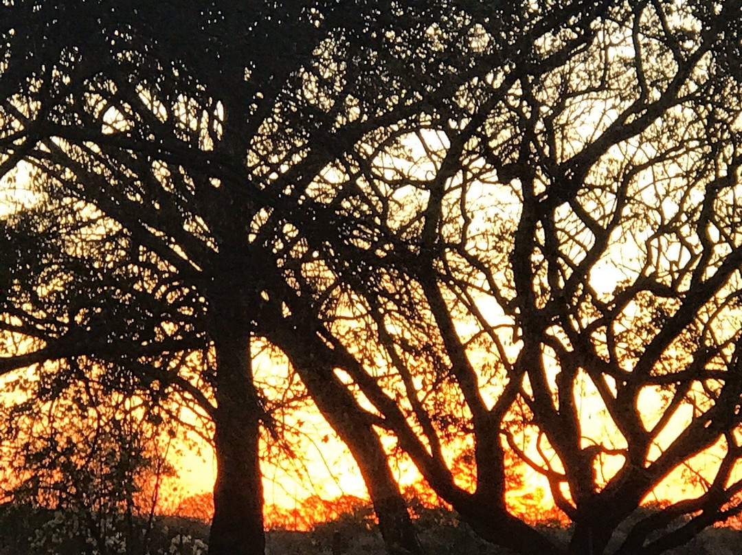 Polokwane Game Reserve-波罗关必去景点