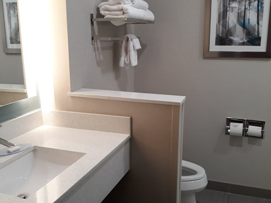 Fairfield Inn & Suites by Marriott Huntsville主图