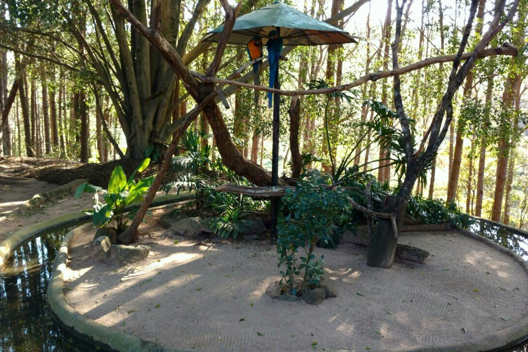 Zoo Parque Loro Puebla景点图片