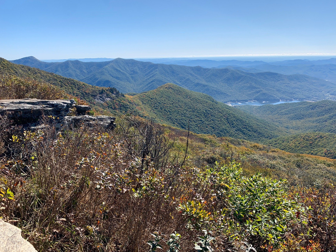 Craggy Gardens景点图片