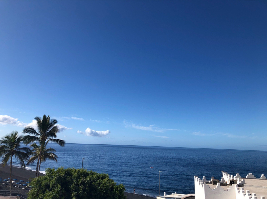 Apartamentos Playa Delphin主图