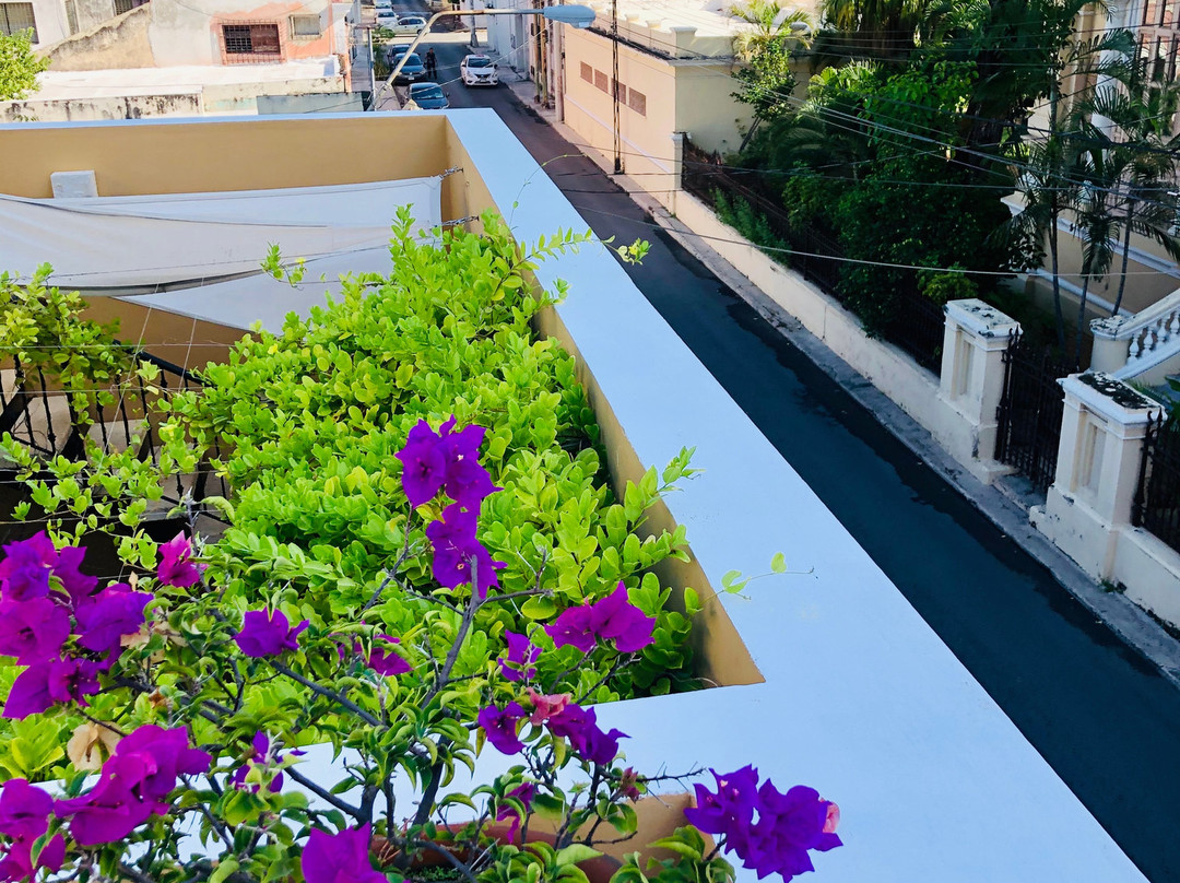 Boutique By The Museo主图