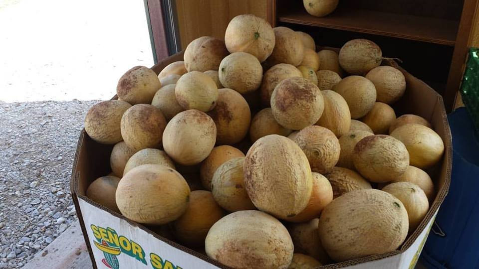 Pauls Valley旅游景点-Atkins Family Farms