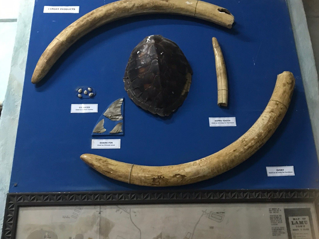 Lamu Museum景点图片